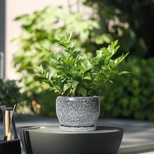 Vista 4 de SQOWL Maceta de cerámica para plantas - Maceta de cerámica de 6 pulgadas para interiores y exteriores, maceta decorativa para plantas con orificio