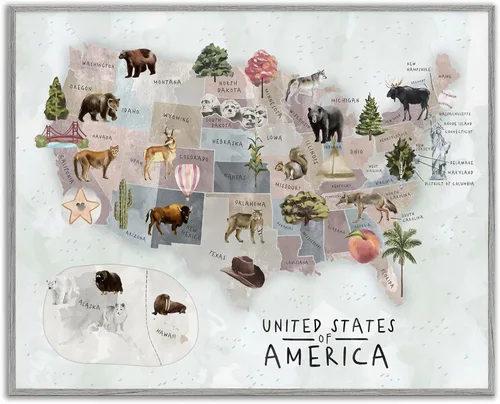 Vista 21 de Estados Unidos de América Mapa de Animales Kid's' Arte Giclée enmarcado Blanco costero (Texturado)
