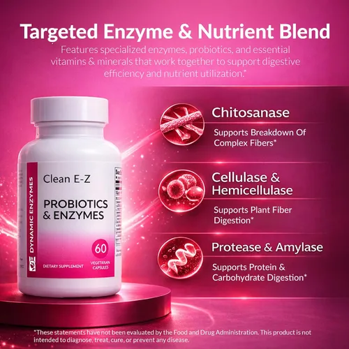 Vista 4 de Clean E-Z Enzymes + Probióticos - Mezcla de enzimas quitosanasa con probióticos estables en el estante - Apoya el equilibrio intestinal y microbioma