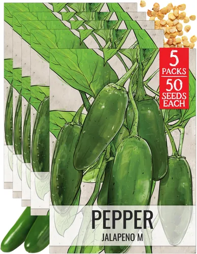 Vista 10 de Seed Needs - Semillas de pimiento arcoíris para plantar verduras, 1 paquete