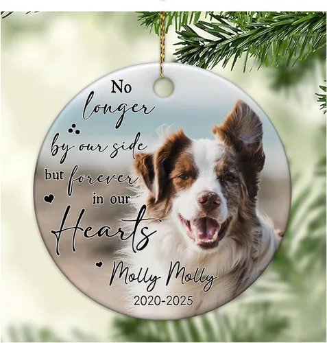 Vista 9 de HYTURTLE Regalos conmemorativos personalizados para mascotas, recuerdo de gato, imagen personalizada de fotos de mascotas, adornos de Navidad