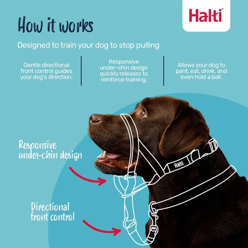 Vista 2 de Collar Halti - Detén a tu perro de tirar de la correa. Ajustable, reflectante y ligero, con banda nasal acolchada. Collar anti-tirón de Negro