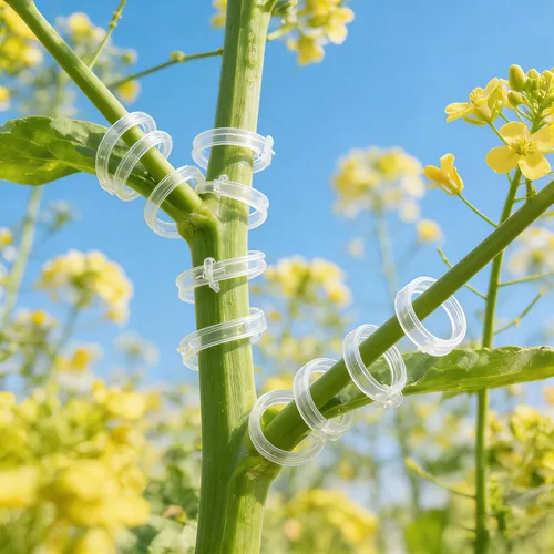 Vista 6 de Clip de plástico seguro para plantas, clips de soporte para plantas 2026, clip de fijación para trepar de jardín, clips de soporte mejorados, clips