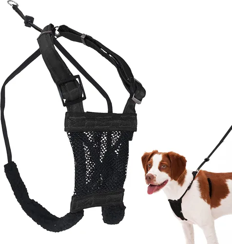 Vista 11 de Sporn Arnés para perro extra pequeño sin tirones, fácil y ajustable para cachorros en crecimiento, ligero, transpirable, nailon duradero, cuerpo