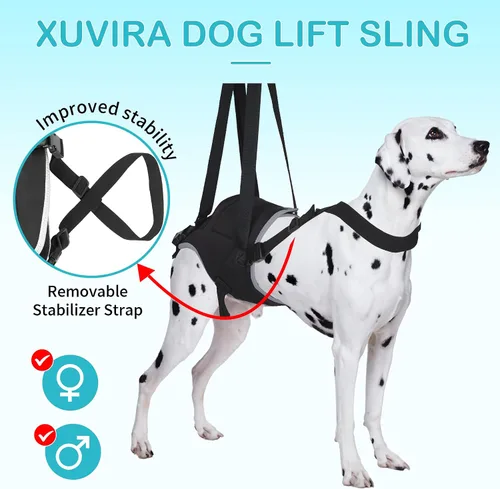 Vista 4 de Arnés de elevación para perros, soporte poscirugía para perros mayores y displasia de cadera, arnés ajustable para perros pequeños, medianos