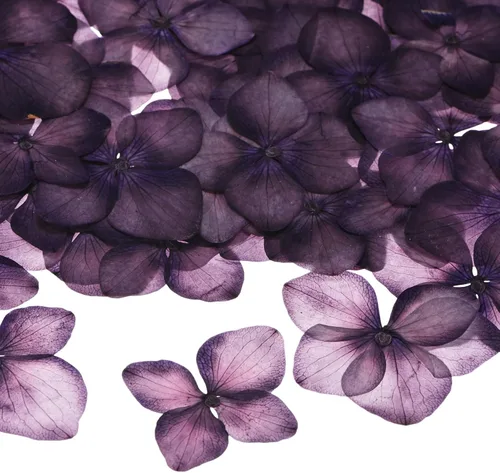 Vista 12 de M METERXITY Paquete de 60 flores secas prensadas para resina, morado y Morado y blanco