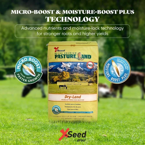 Vista 2 de X-Seed Mezcla de semillas de forraje de tierras secas con Micro-Boost – Festuca alta hierba huerta de riegrass, pasto libre de endófitos para una