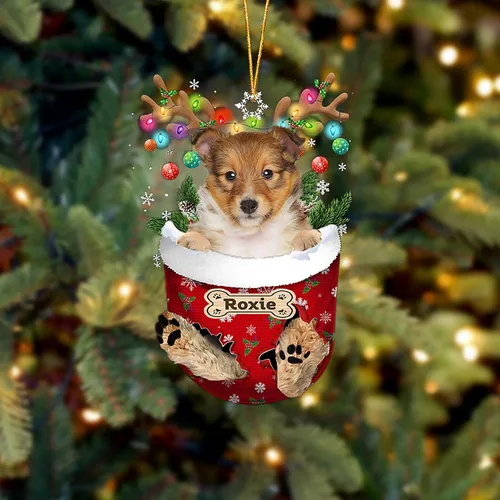Vista 226 de LOVELYPOD Adorno Personalizado de Perro Affenpinscher, Adornos de Navidad Affenpinscher Regalo para Amante de Perros, Adorno de Navidad Colgante