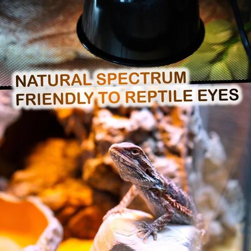 Vista 6 de Paquete de 2 bombillas de calor para reptiles de 75 W, bombillas de calor UVA para dragones barbudos, tortugas, serpientes, lagartos y anfibios