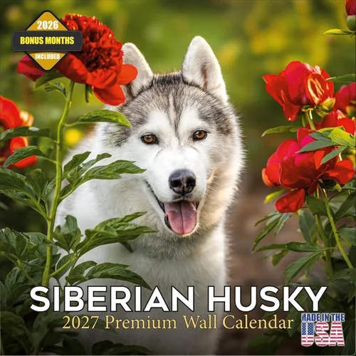 Vista 205 de Calendario de Lebrel Afgano 2025 2026, calendario mensual de pared de raza canina, 12" x 18" abierto, papel grueso sin traspaso, ideal para regalo