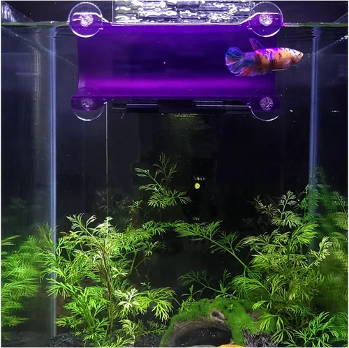 Vista 15 de Marca Betta Tunnel (negro opaco)