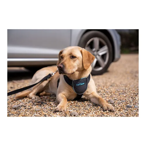Vista 10 de Arnés para Perro Company of Animals CarSafe Negro XS