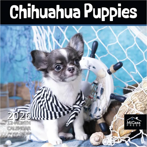 Vista 62 de MICASA PRESS Calendario de pared de Australian Shepherds Aussies 2027 02 - Pastores australianos