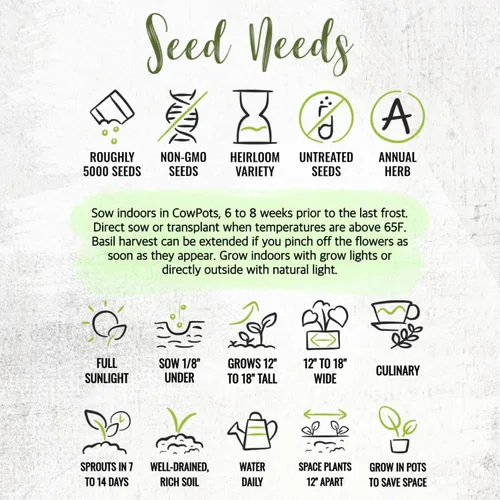 Vista 7 de Seed Needs Semillas de albahaca para plantar hierbas de albahaca tailandesa, reliquia sin OMG y sin tratar, cultiva un jardín de hierbas culinarias