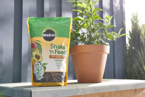 Vista 9 de Miracle-Gro Shake 'n Feed Alimento vegetal de cítricos, aguacate y mango, 8 libras (paquete de 4)