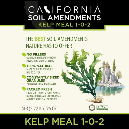 Vista 2 de The Bud Grower California Hot Soil Premium Kelp Meal 6 libras de polvo fino 100% harina orgánica de algas Kit y suministros de tienda