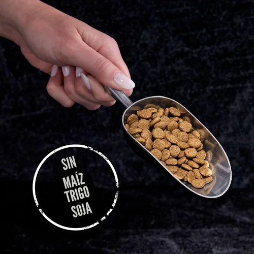 Vista 8 de Alimento seco para gatos CRAVE alto en proteína, sin cereales