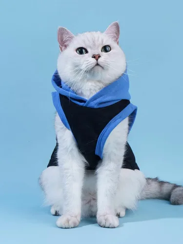 Vista 3 de QWINEE Camiseta sin mangas con capucha para perro con estampado de letras para gatos y cachorros, chaleco sin mangas para perro, ropa elástica