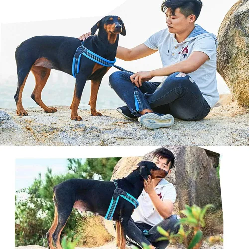 Vista 5 de Arnés para perro sin tirones, ultra suave, transpirable, acolchado, para mascotas, 2 botones ajustables, arnés reflectante 3M para mascotas