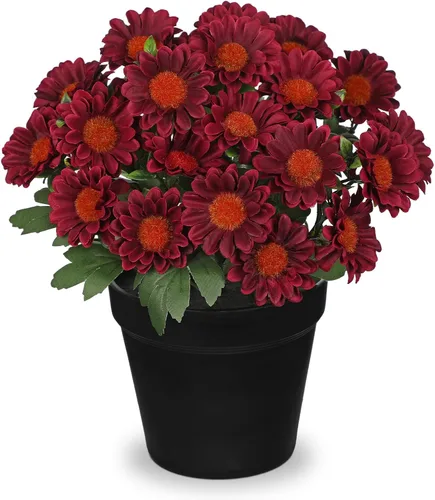 Vista 7 de Flores artificiales de crisantemo en maceta negra de 9 pulgadas, plantas artificiales de seda para decoración de interiores y exteriores, centro