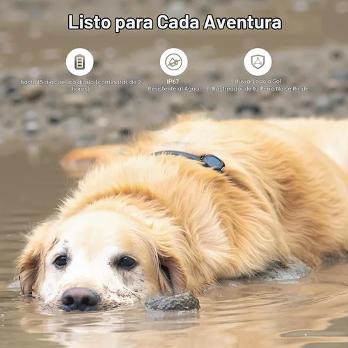 Vista 5 de Aorkuler Rastreador GPS para perros – Sin teléfono, sin señal, sin suscripción Dirección en tiempo real y distancia de hasta 3.5 millas Diseñado