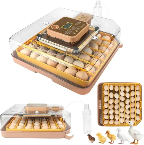 Vista 10 de Nest I - Incubadora de 12 huevos para principiantes, giro automático de huevos, humedad constante con botella de agua de recarga automática
