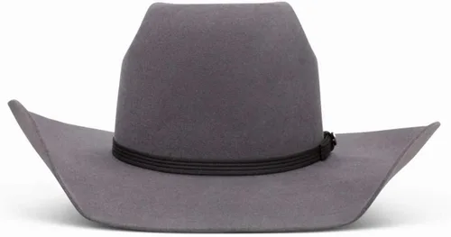 Vista 3 de Resistol Hooey Grey 4X Day Money Hat