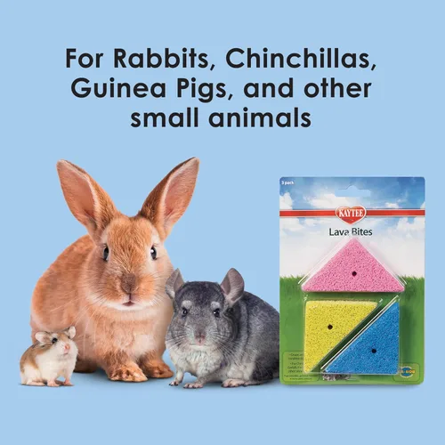 Vista 4 de Kaytee Lava Bites - Juguete masticable para chinchillas, hámsters y jerbos, paquete de 3