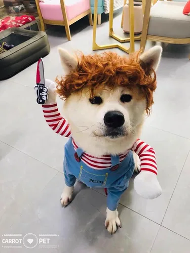 Vista 7 de Disfraz de muñeca mortal para perro, cosplay, Halloween y Navidad, disfraz de fiesta para perros pequeños, medianos y grandes (S)