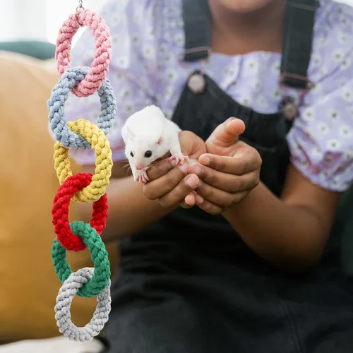 Vista 6 de Juguetes de planeador de azúcar, anillo de cuerda de algodón colgante para mascotas, juguetes de rata, accesorios de jaula de planeador de azúcar