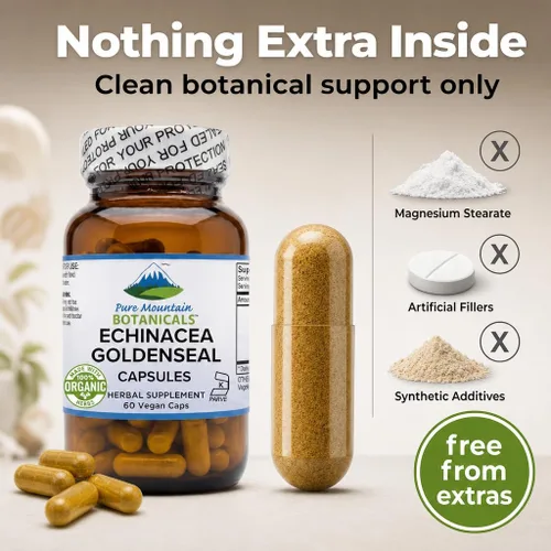 Vista 7 de Pure Mountain Botanicals Cápsulas de sello de oro de equinácea – 450 mg de complejo orgánico de raíz de equinácea y sello de oro – 90 cápsulas