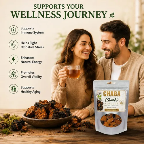 Vista 4 de Trozos de hongos chaga siberianos cosechados salvajes 3 oz (85g)
