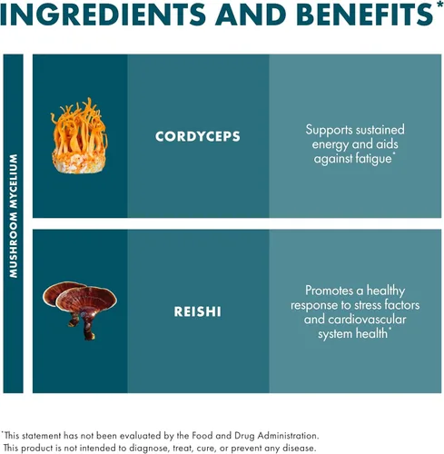Vista 6 de Host Defense Extracto de CordyChi - Suplemento energético y de apoyo inmunológico - Suplemento Cordyceps y hongo Reishi para relajación y apoyo