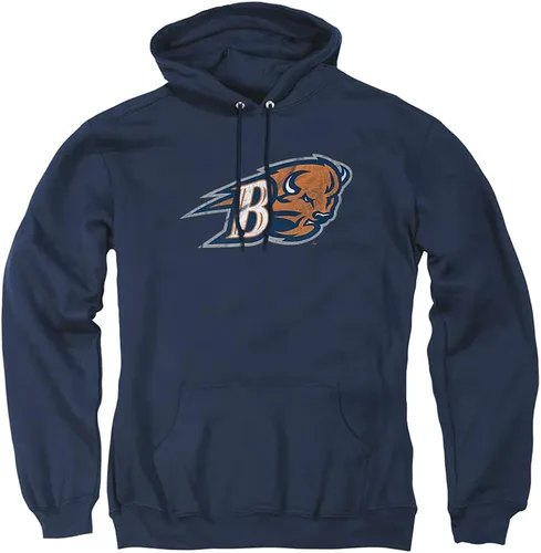 Vista 153 de Distressed College Primary Logo Adult Pullover Hoodie Collection 1 Universidad Estatal de Albany