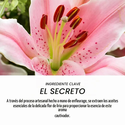 Vista 5 de Aceite corporal con aroma a lirio, aceite corporal hidratante ligero y de rápida absorción, 5 onzas