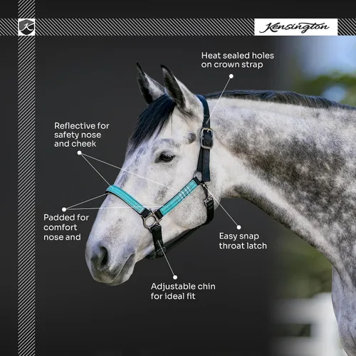 Vista 4 de Kensington Premium Nylon Halter Size: M-Small Horse Color: 2021 - Atlantis