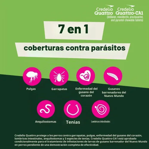 Vista 4 de Credelio Quattro / Credelio Quattro-CA1 para perros 25.1-50 libras, 1