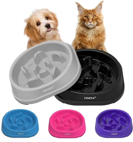 Vista 15 de YINEYA 2 cuencos de alimentación lenta antiasfixia para perros de tamaño pequeño, cuenco de alimentación lenta para gatos, suministros