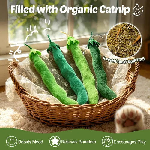 Vista 4 de CiyvoLyeen Juguete de hierba gatera, juguetes para gatos de frijoles verdes, suministros interactivos, pateador, verduras, vegano, salud dental