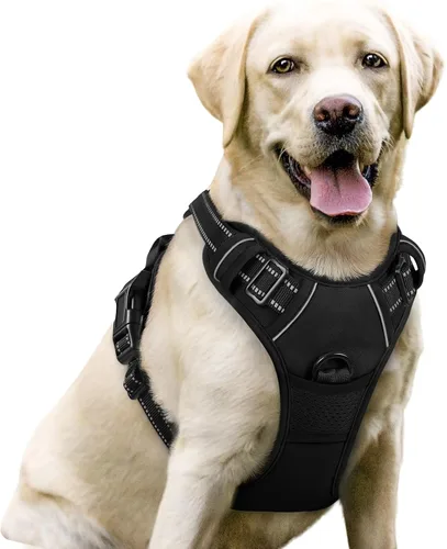 Vista 155 de Rabbitgoo - Arnés para perros sin tirón con 2 clips de correa, chaleco Oxford reflectante acolchado suave ajustable sin estrangulamiento