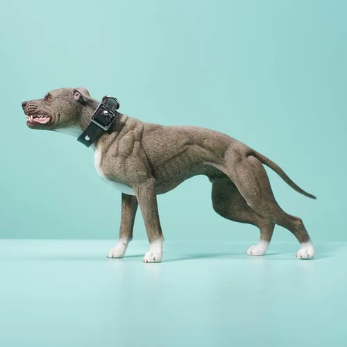 Vista 5 de JXK American Pit Bull Terrier - Figura coleccionable de resina para Jxk129a