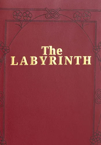 Vista 3 de Bolso de Disfraz Libro Labyrinth Multicolor