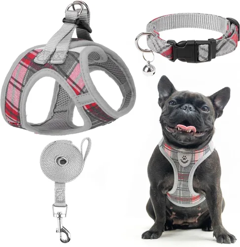 Vista 35 de Arnés para cachorros de otoño de Acción de Gracias - Collar y correa para perro - Arnés de chaleco para perros pequeños de malla suave acolchada