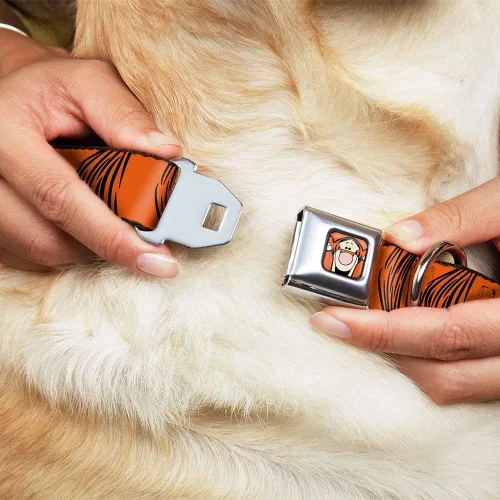 Vista 8 de Collar de perro hebilla de cinturón de seguridad Tigger Stripes naranja negro 9 a 15 pulgadas 1.0 pulgadas ancho