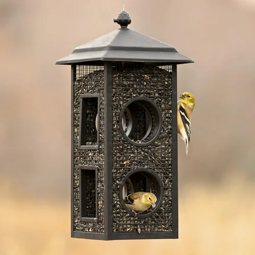 Vista 7 de Perky-Pet B00303 Comedero para pájaros silvestres con vuelo