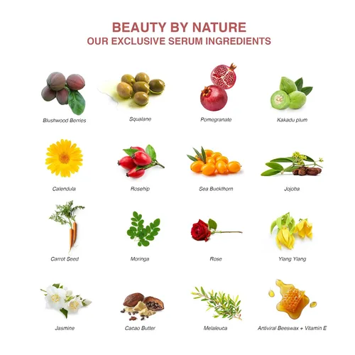 Vista 4 de Blushwood Beauty - Suero facial botánico de Blushwood Berry (EBC-46) + Kakadu Plum Vitamina C, suero facial hidratante antioxidante para brillo