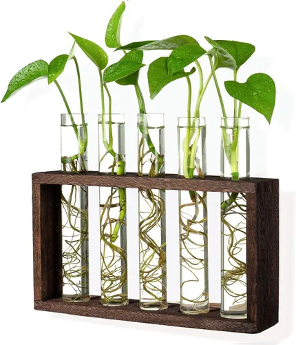 Vista 2 de Estación de propagación de plantador de tubo de ensayo de vidrio colgante de pared con soporte de madera, soporte de terrario para plantas