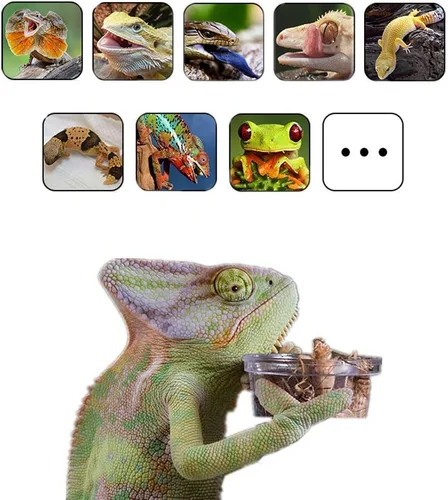 Vista 6 de Plato de comida Gecko crestado, 100 unidades, tazas de alimentación de reptiles de plástico de 0.5 onzas