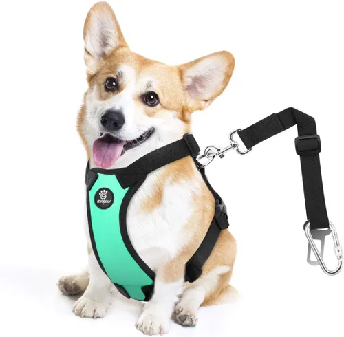 Vista 12 de VavoPaw cinturón de seguridad para perro, arnés de coche con hebilla ajustable para perro, cinturón de seguridad de nailon para mascotas, resistente