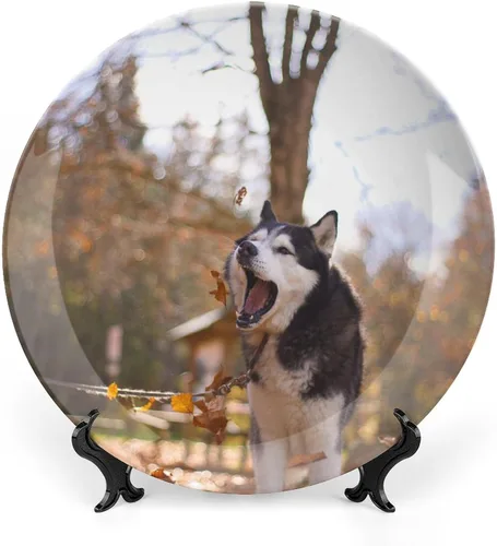 Vista 10 de Plato decorativo para colgar en la pared, plato de cerámica de ñu azul animal, platos divertidos para cena, plato decorativo de mesa, plato